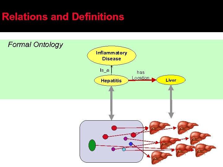 Relations and Definitions Formal Ontology Inflammatory Disease Is_a Hepatitis has Location Liver 