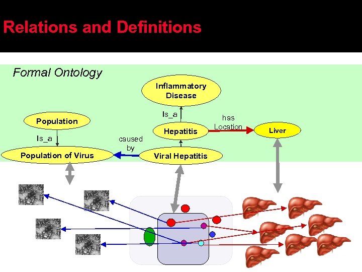 Relations and Definitions Formal Ontology Inflammatory Disease Is_a Population of Virus caused by Hepatitis