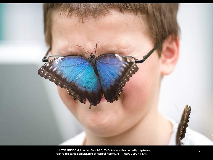 UNITED KINGDOM, London, March 25, 2013: A boy with a butterfly on glasses, during