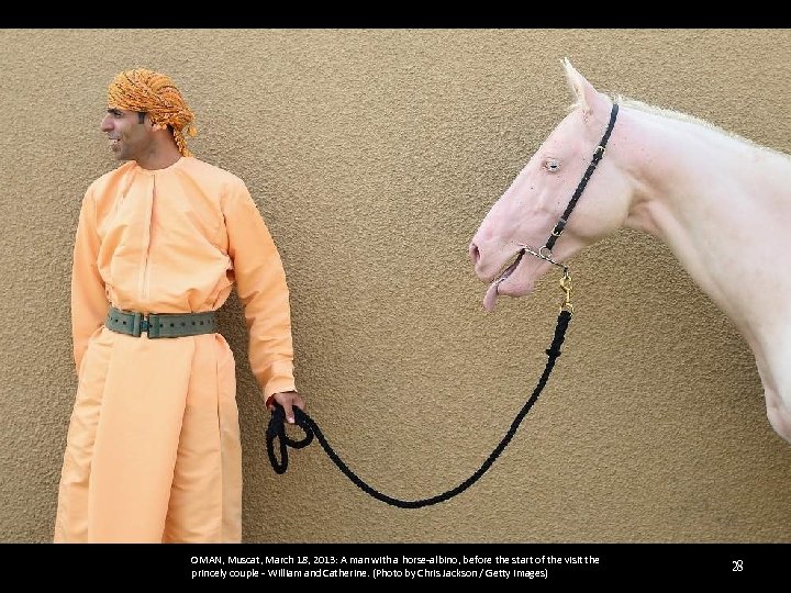 OMAN, Muscat, March 18, 2013: A man with a horse-albino, before the start of