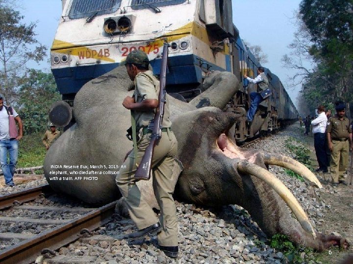  INDIA Reserve Bux, March 5, 2013: An elephant, who died after a collision