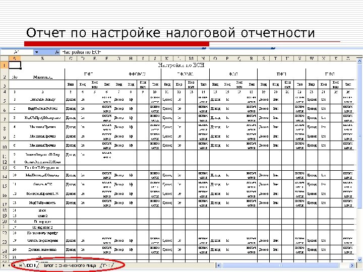 Отчет по настройке налоговой отчетности 