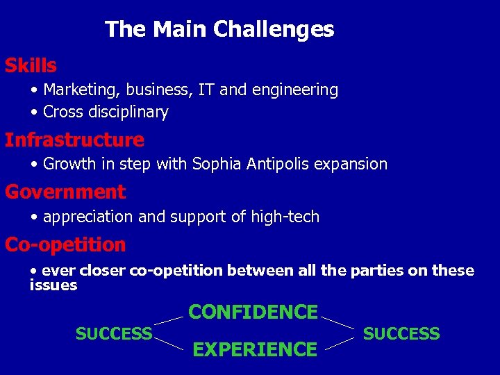 The Main Challenges Skills • Marketing, business, IT and engineering • Cross disciplinary Infrastructure