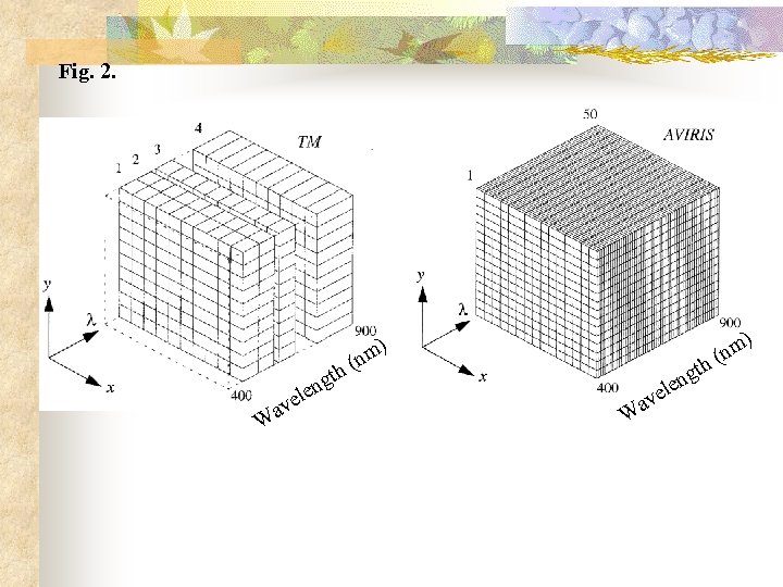 Fig. 2. ) m) n n ( th g W ele av ave W