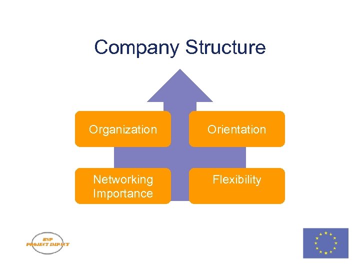 Company Structure Organization Orientation Networking Importance Flexibility CU-FACTOR presentation v 1. 0 © 2008