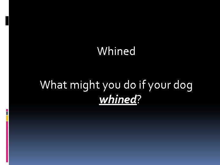 Whined What might you do if your dog whined? 