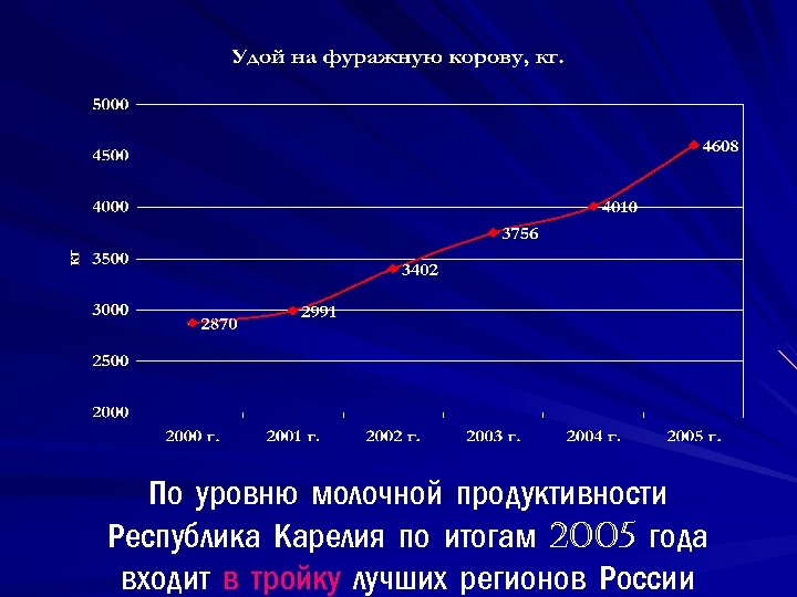 По уровню молочной продуктивности Республика Карелия по итогам 2005 года входит в тройку лучших