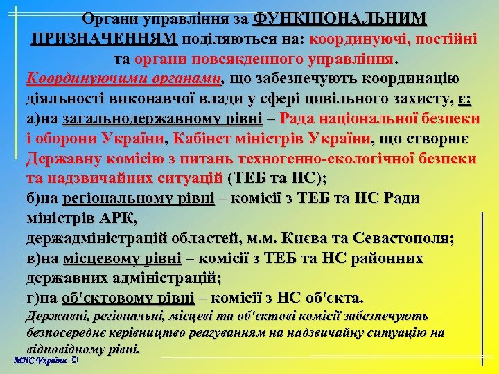 Органи управління за ФУНКЦІОНАЛЬНИМ ПРИЗНАЧЕННЯМ поділяються на: координуючі, постійні та органи повсякденного управління. Координуючими