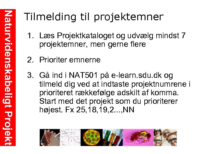 Naturvidenskabeligt Projekt Tilmelding til projektemner 1. Læs Projektkataloget og udvælg mindst 7 projektemner, men