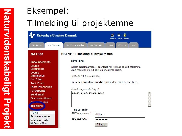 Naturvidenskabeligt Projekt Eksempel: Tilmelding til projektemne 