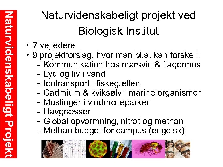Naturvidenskabeligt Projekt Naturvidenskabeligt projekt ved Biologisk Institut • 7 vejledere • 9 projektforslag, hvor
