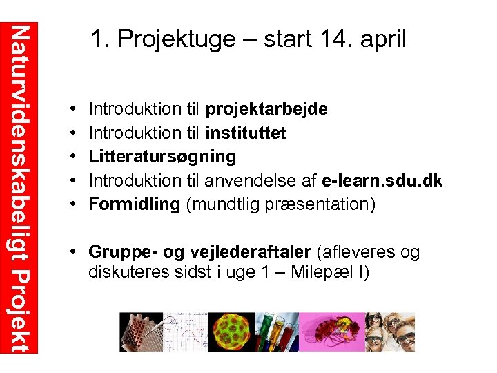 Naturvidenskabeligt Projekt 1. Projektuge – start 14. april • • • Introduktion til projektarbejde
