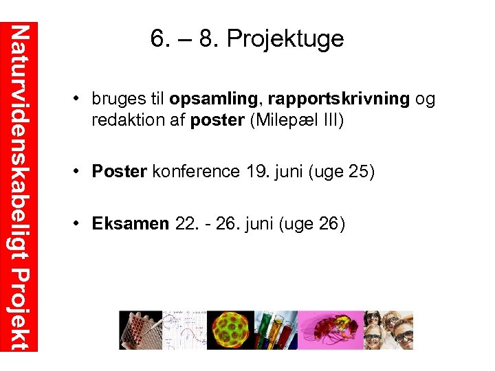 Naturvidenskabeligt Projekt 6. – 8. Projektuge • bruges til opsamling, rapportskrivning og redaktion af