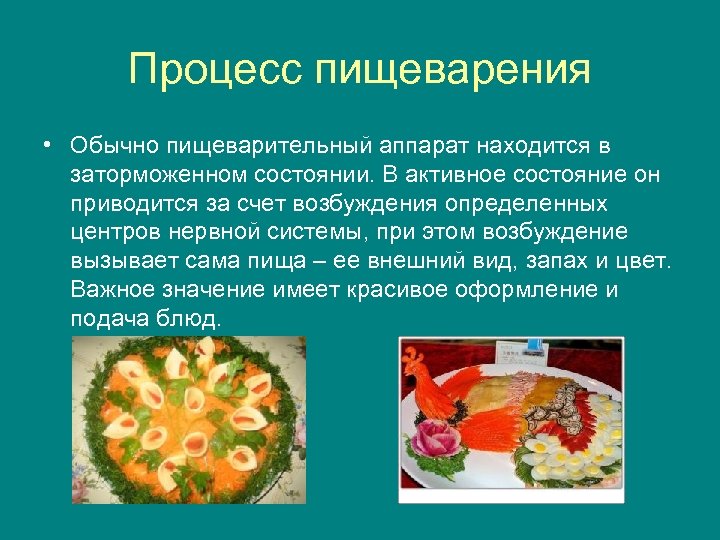 Процесс пищеварения • Обычно пищеварительный аппарат находится в заторможенном состоянии. В активное состояние он