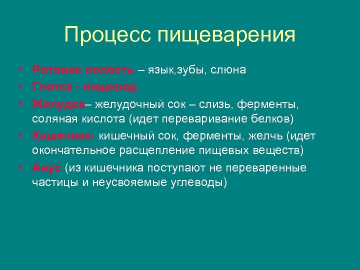 Процесс пищеварения • Ротовая полость – язык, зубы, слюна • Глотка - пищевод •