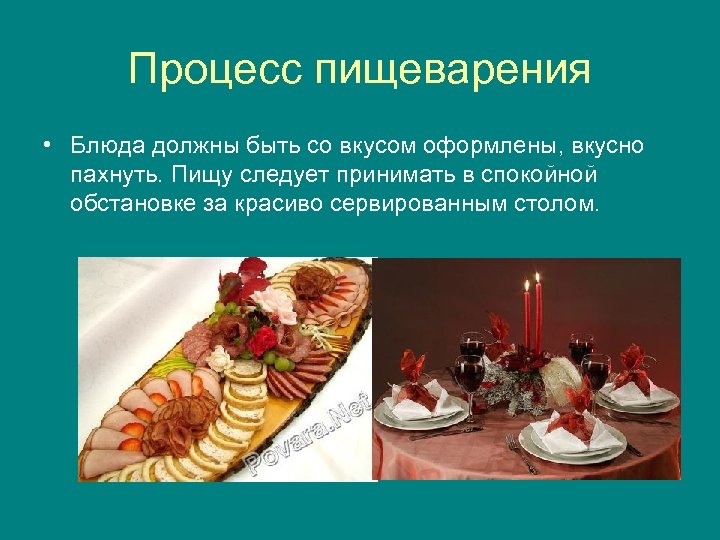 Процесс пищеварения • Блюда должны быть со вкусом оформлены, вкусно пахнуть. Пищу следует принимать