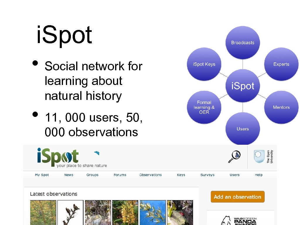 i. Spot • Social network for learning about natural history • 11, 000 users,
