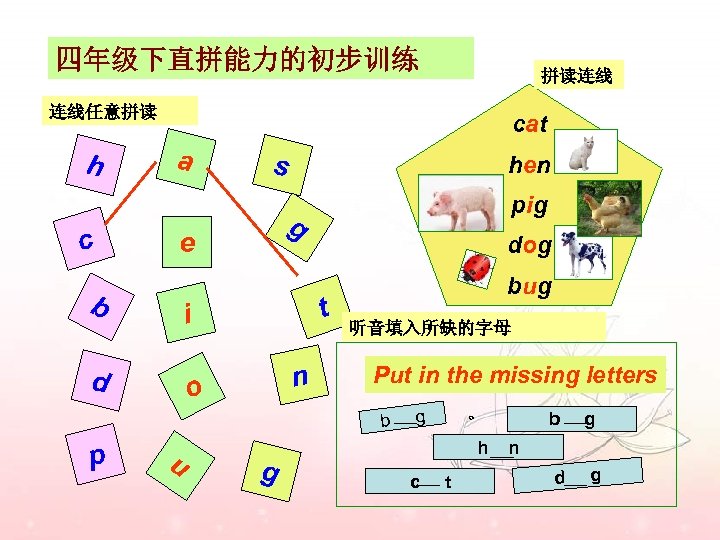 四年级下直拼能力的初步训练 拼读连线 连线任意拼读 h c cat a s dog t i d pig g
