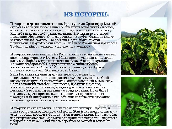История первая гласит: 15 ноября 1492 года Христофор Колумб сделал в своем дневнике запись