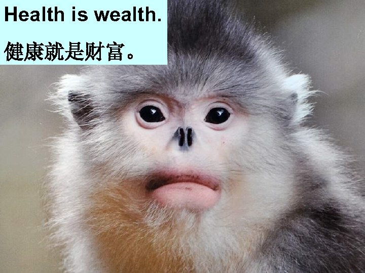 Health is wealth. Get on well with your friends. 健康就是财富。 和朋友好好相处 Eat more fruit