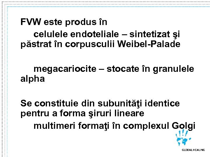 FVW este produs în celulele endoteliale – sintetizat şi păstrat în corpusculii Weibel-Palade megacariocite