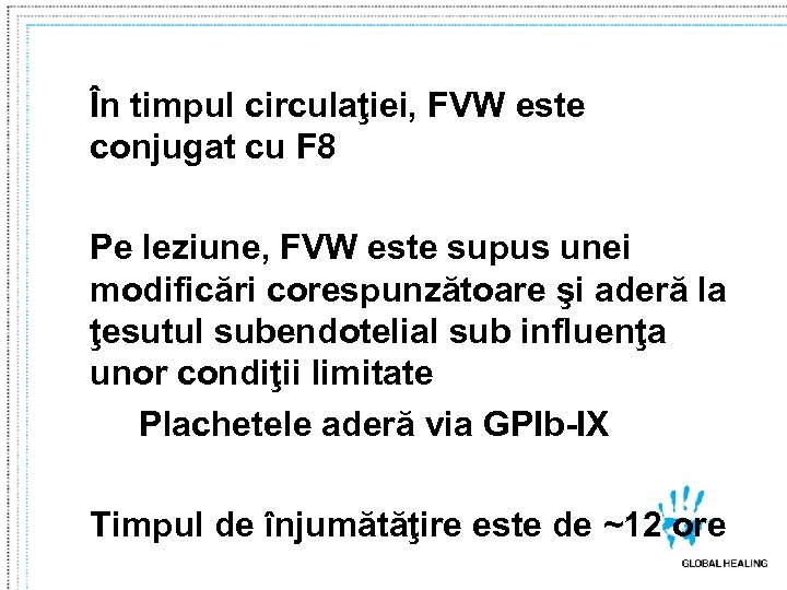 În timpul circulaţiei, FVW este conjugat cu F 8 Pe leziune, FVW este supus