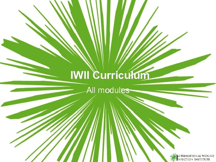 IWII Curriculum All modules 