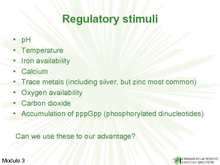 Regulatory stimuli • • p. H Temperature Iron availability Calcium Trace metals (including silver,