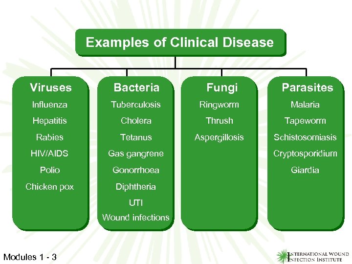 Examples of Clinical Disease Viruses Bacteria Fungi Influenza Tuberculosis Ringworm Malaria Hepatitis Cholera Thrush