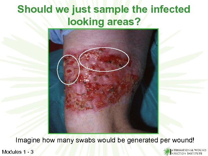 Should we just sample the infected looking areas? Imagine how many swabs would be