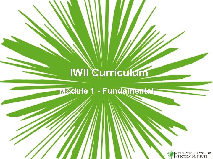 IWII Curriculum Module 1 - Fundamental 