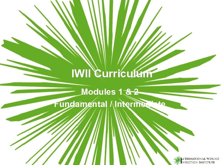 IWII Curriculum Modules 1 & 2 Fundamental / Intermediate 