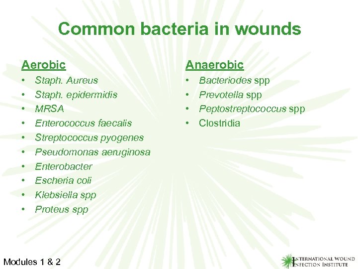 Common bacteria in wounds Aerobic Anaerobic • • • • Staph. Aureus Staph. epidermidis