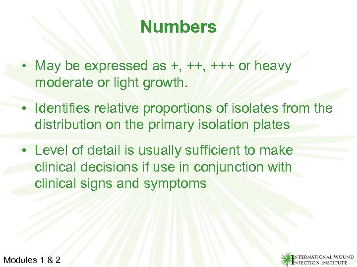 Numbers • May be expressed as +, +++ or heavy moderate or light growth.