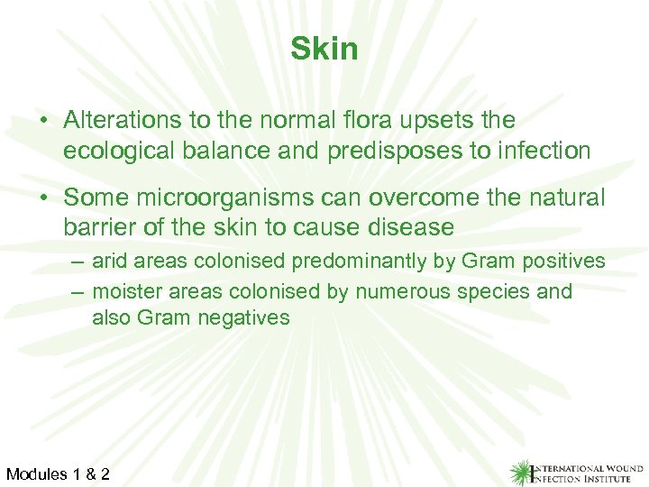 Skin • Alterations to the normal flora upsets the ecological balance and predisposes to