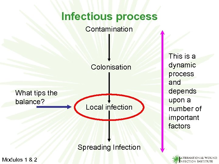 Infectious process Contamination Colonisation What tips the balance? Local infection Spreading Infection Modules 1