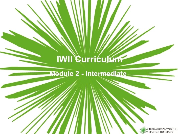 IWII Curriculum Module 2 - Intermediate 