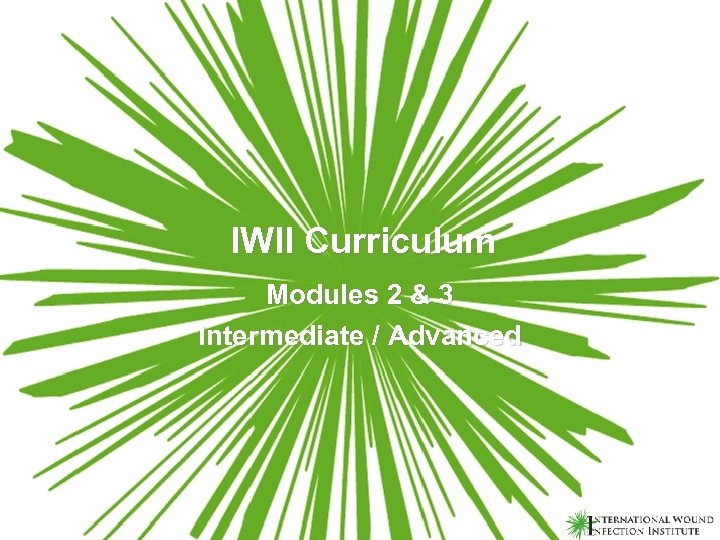 IWII Curriculum Modules 2 & 3 Intermediate / Advanced 