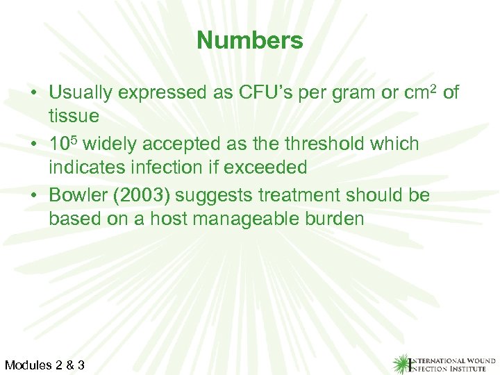 Numbers • Usually expressed as CFU’s per gram or cm 2 of tissue •