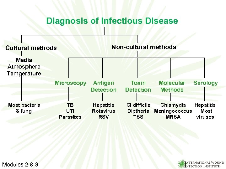 Diagnosis of Infectious Disease Non-cultural methods Cultural methods Media Atmosphere Temperature Microscopy Most bacteria