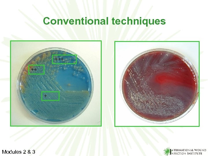 Conventional techniques +++ ++ + Modules 2 & 3 
