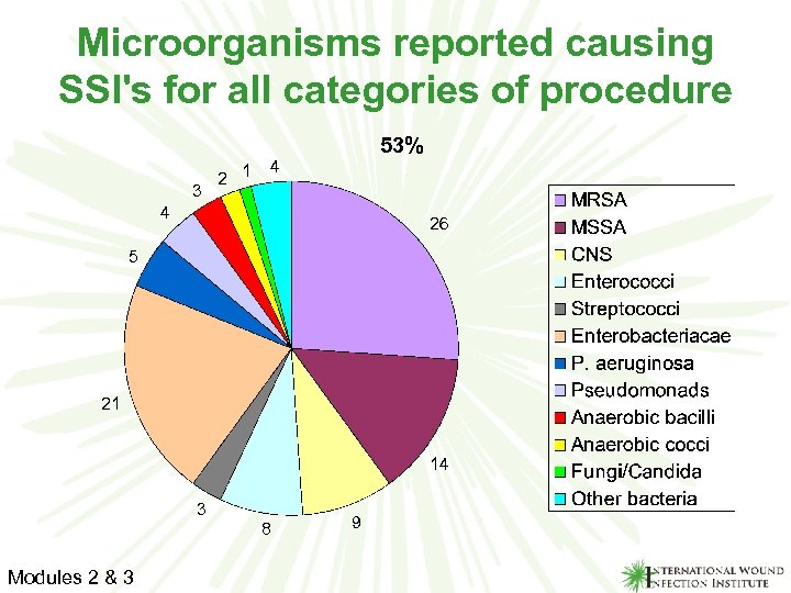 Microorganisms reported causing SSI's for all categories of procedure 3 2 1 53% 4