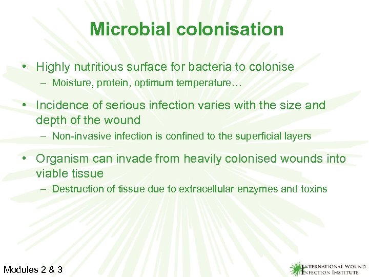 Microbial colonisation • Highly nutritious surface for bacteria to colonise – Moisture, protein, optimum