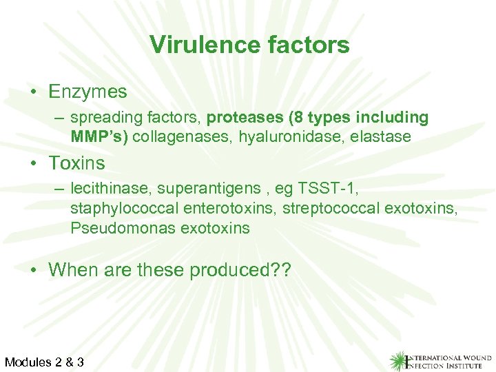 Virulence factors • Enzymes – spreading factors, proteases (8 types including MMP’s) collagenases, hyaluronidase,