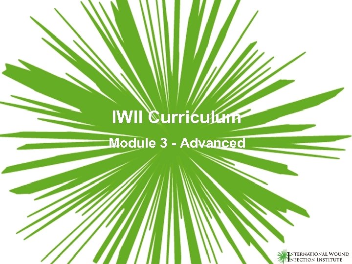 IWII Curriculum Module 3 - Advanced 