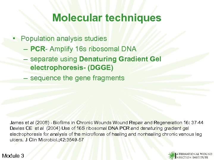 Molecular techniques • Population analysis studies – PCR- Amplify 16 s ribosomal DNA –