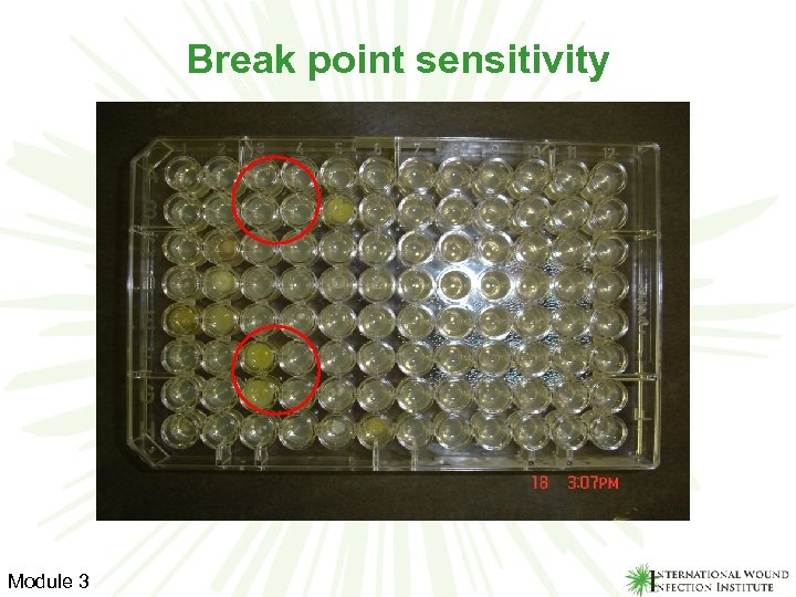 Break point sensitivity Module 3 