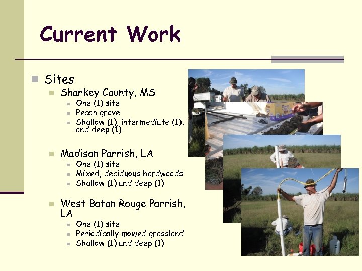 Current Work n Sites n Sharkey County, MS n n Madison Parrish, LA n