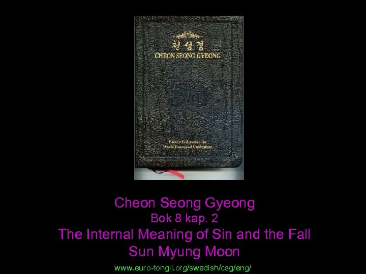 Cheon Seong Gyeong Bok 8 kap. 2 The Internal Meaning of Sin and the