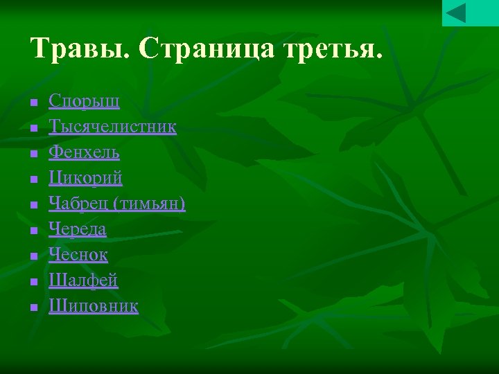 Травы. Страница третья. n n n n n Спорыш Тысячелистник Фенхель Цикорий Чабрец (тимьян)